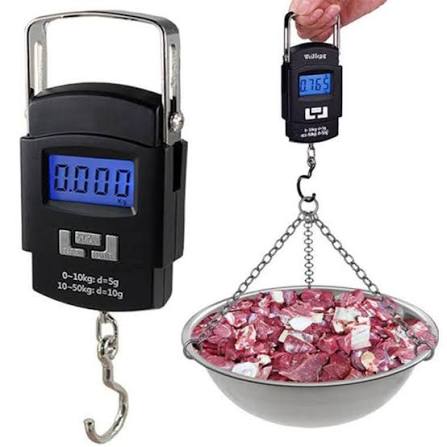 Portable Hanging Weight Scale (50 KG)